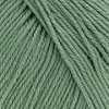 verde-helecho-82177