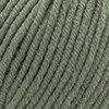 verde-palido-67