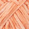 salmon-213